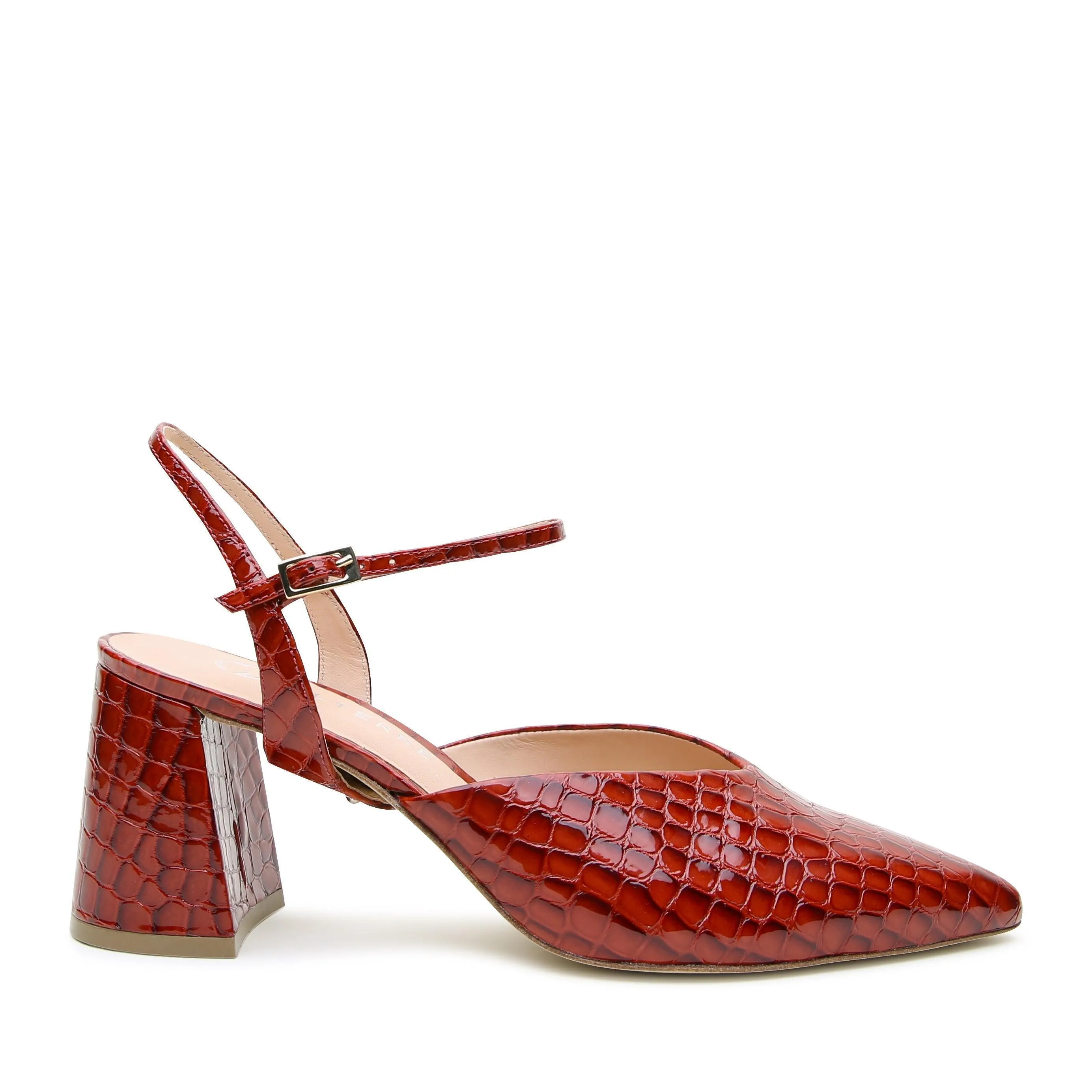 Amal in Clay Croc