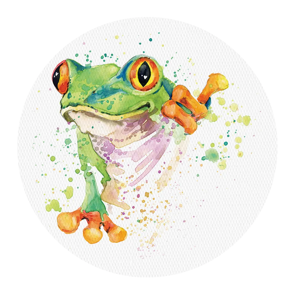 Dexcom Frog Design Patches