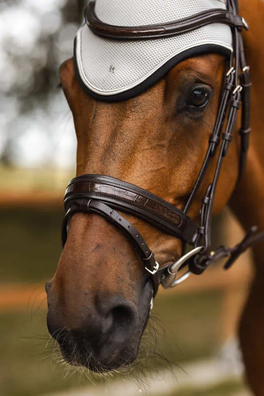 Horze Smoky Twilight Anatomic Bridle Brown