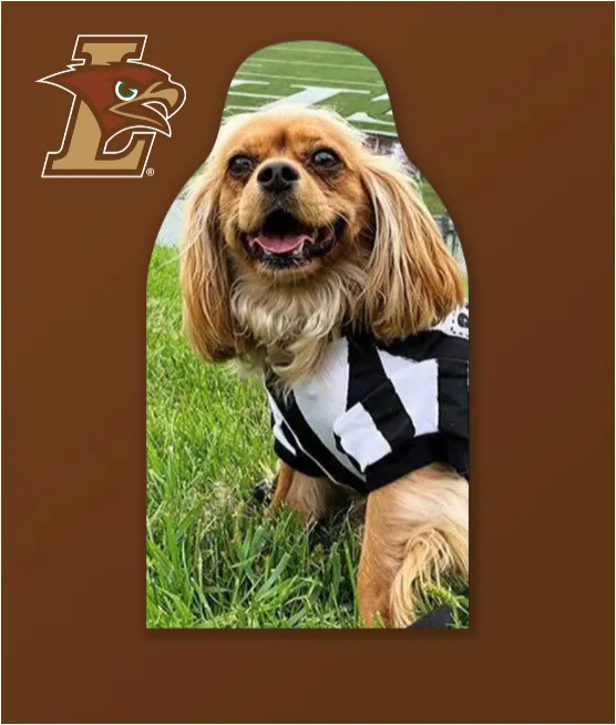 Mountain Hawks Spring Sports