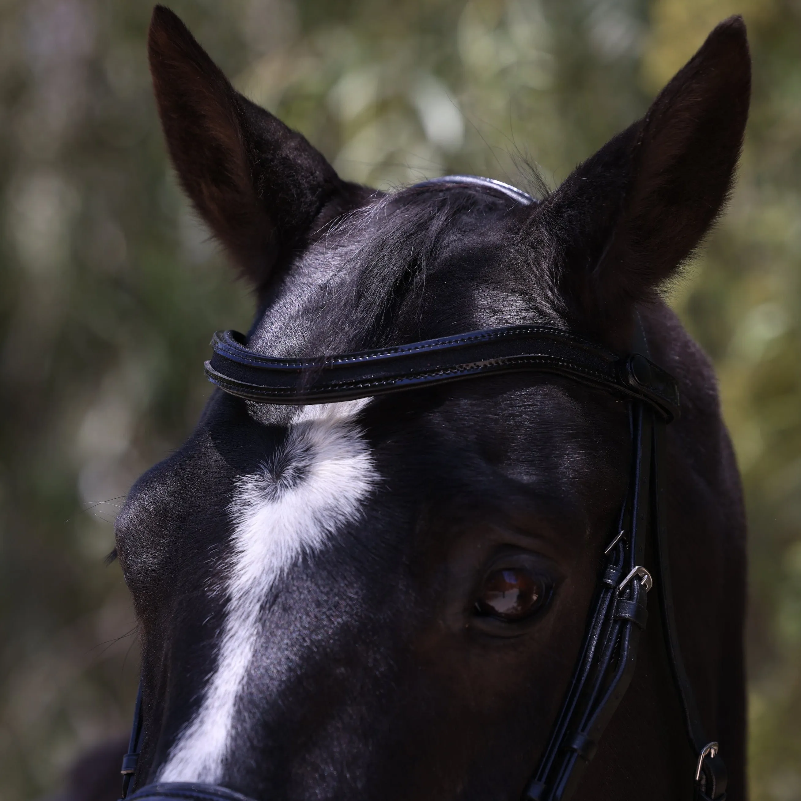 Natalia Black Patent Snaffle Bridle
