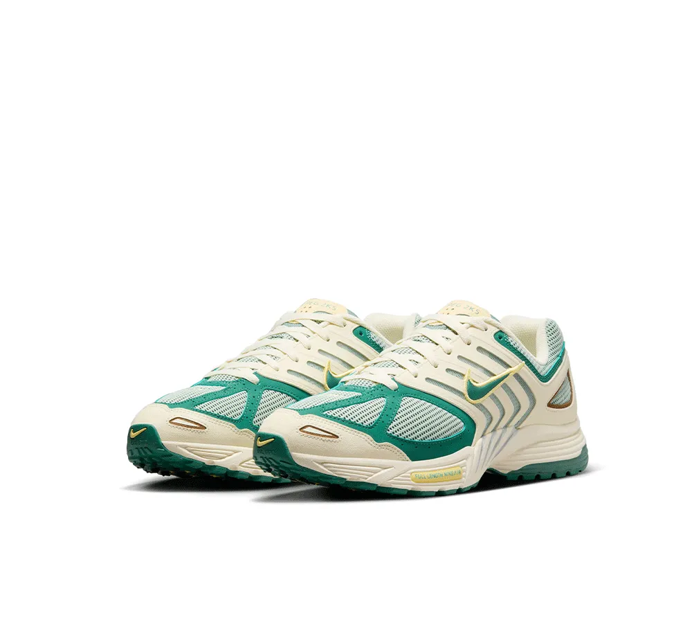 Nike Air Pegasus 2K5
