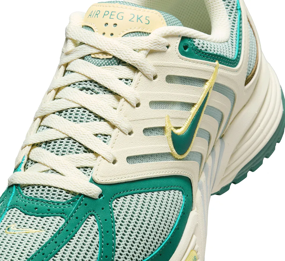 Nike Air Pegasus 2K5