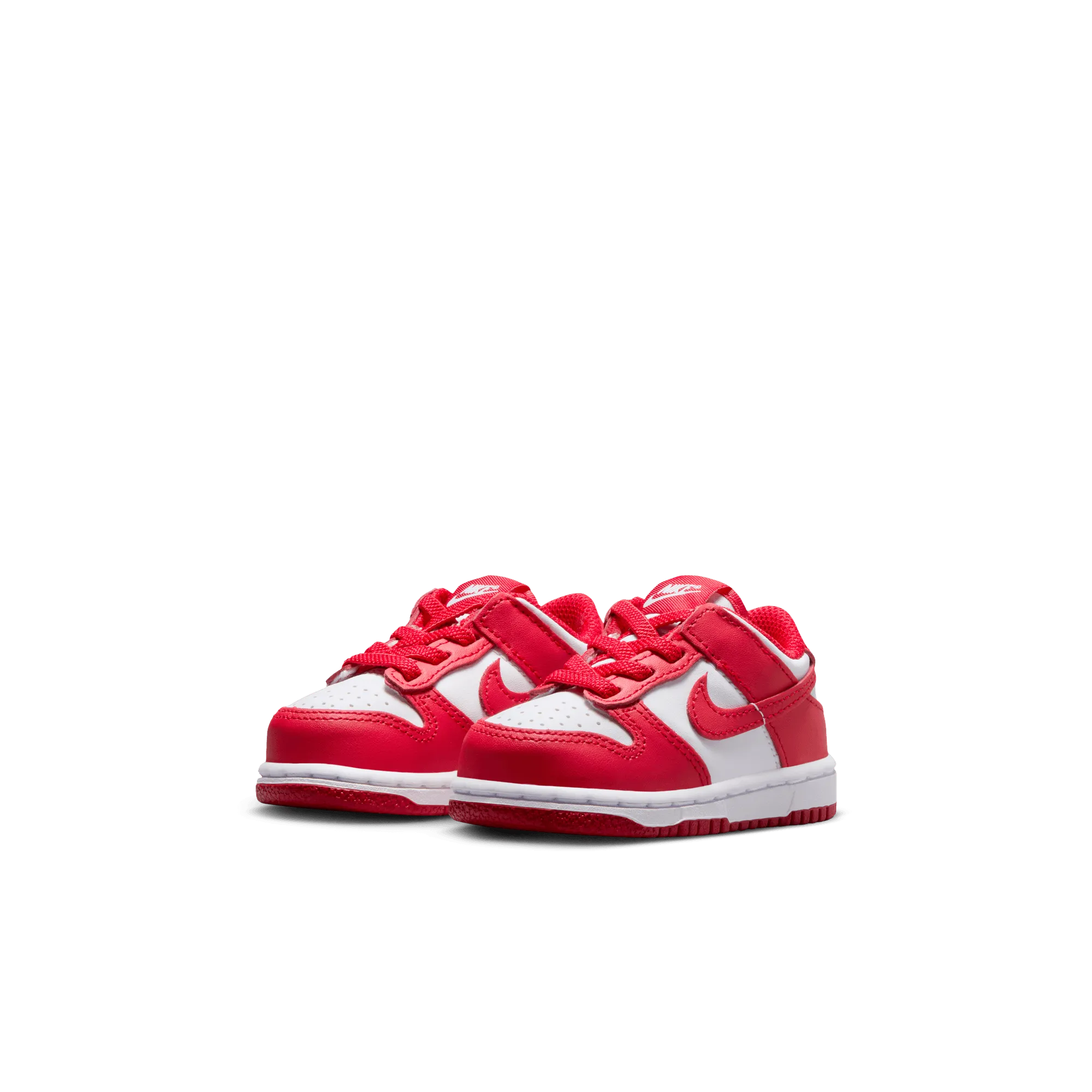 NIKE DUNK LOW (TDE)