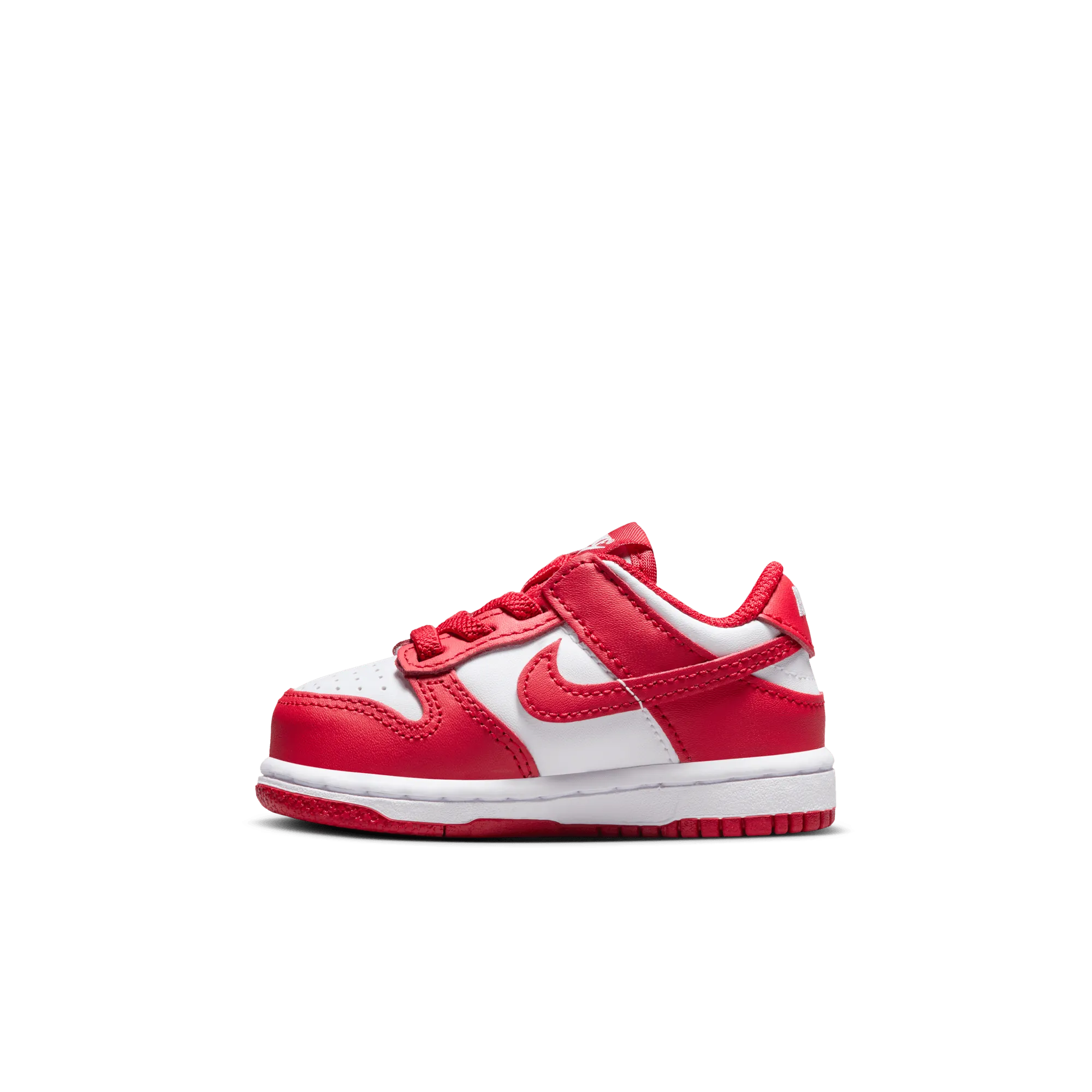 NIKE DUNK LOW (TDE)