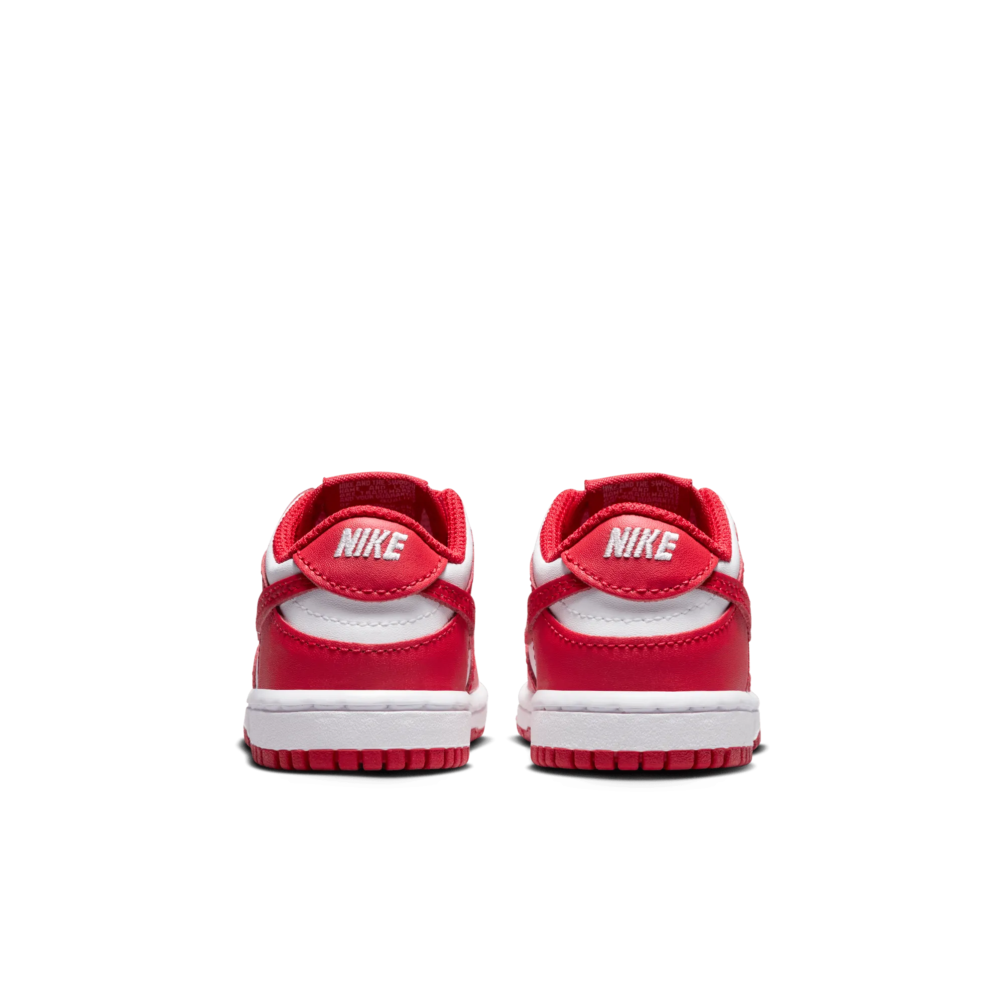 NIKE DUNK LOW (TDE)