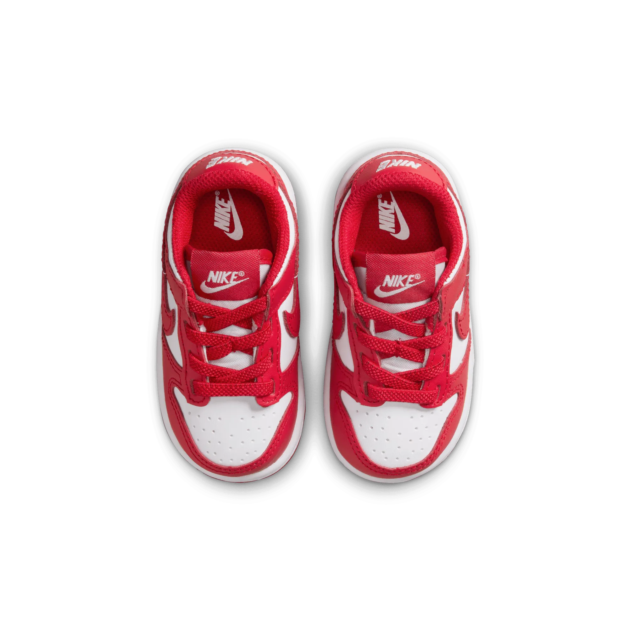 NIKE DUNK LOW (TDE)