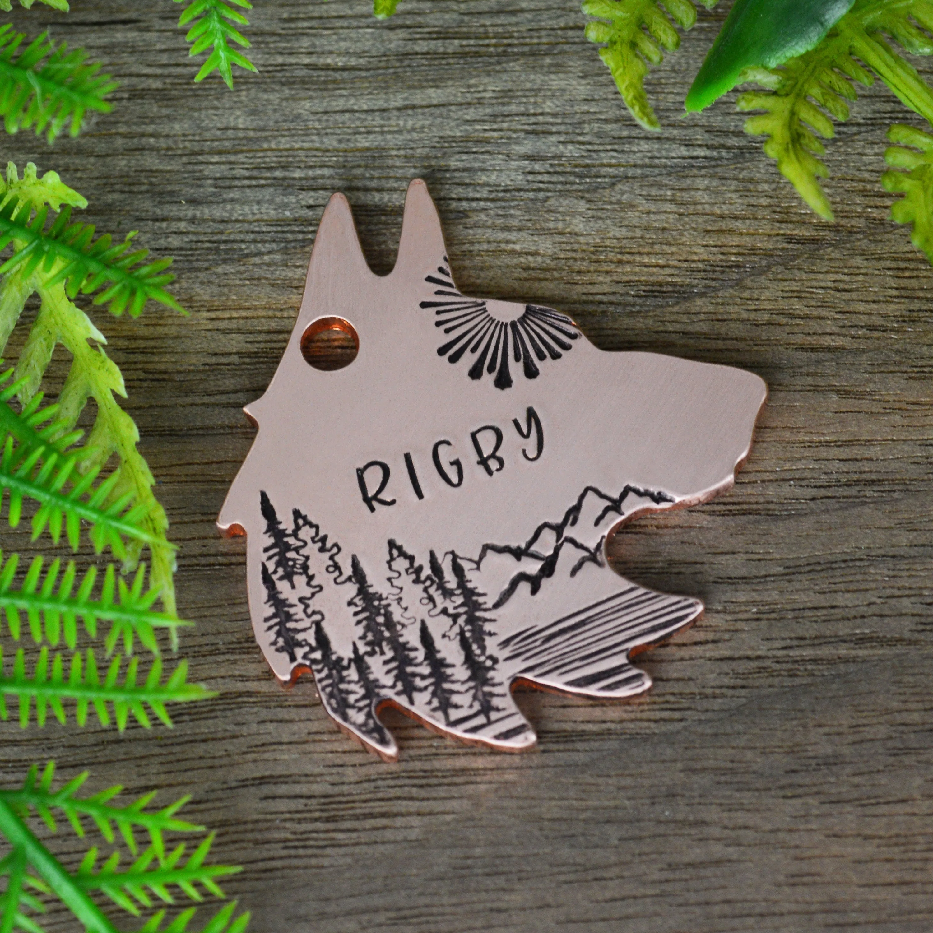 Sunshine over the Range Handstamped Pet ID Tag