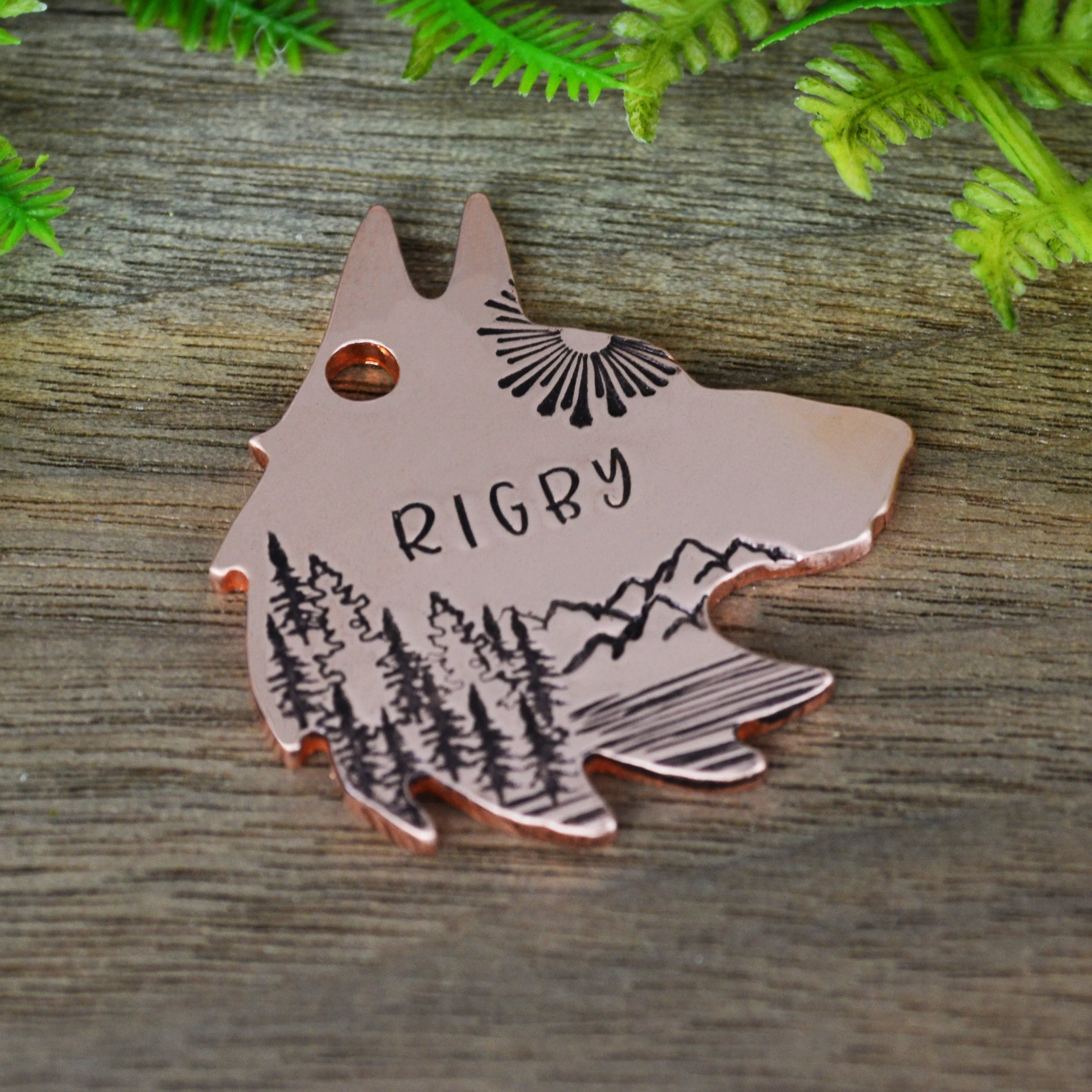 Sunshine over the Range Handstamped Pet ID Tag