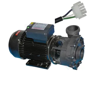 WP250-II Pro Series 2.5HP - LX Whirlpool - Two-speed Jet Booster Pump